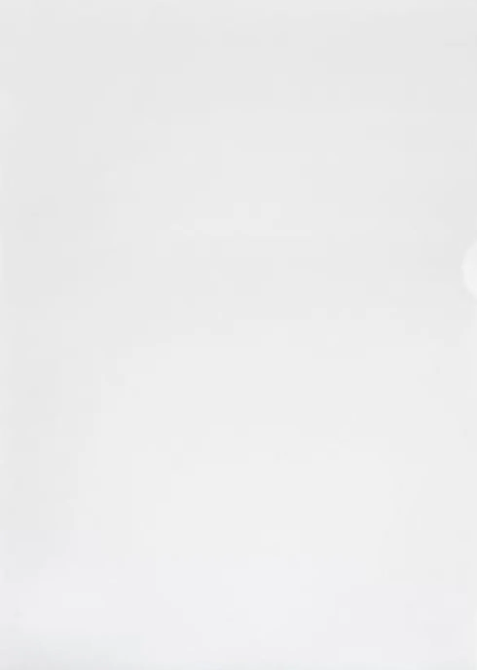 Aktmapp PLASTPETTER A4 0,35 vit