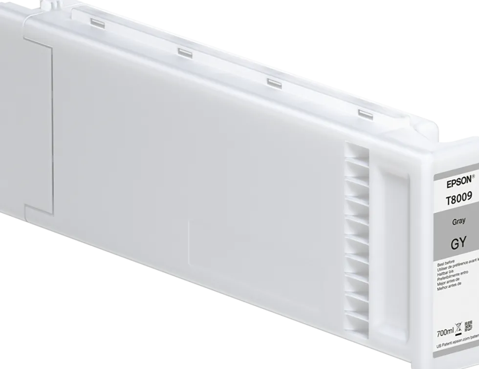 Bläckpatron EPSON C13T800900 Grå