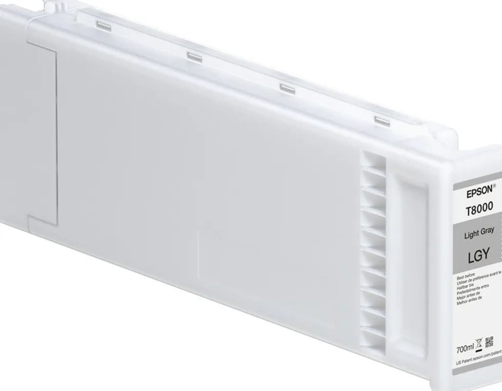 Bläckpatron EPSON C13T800900 Grå
