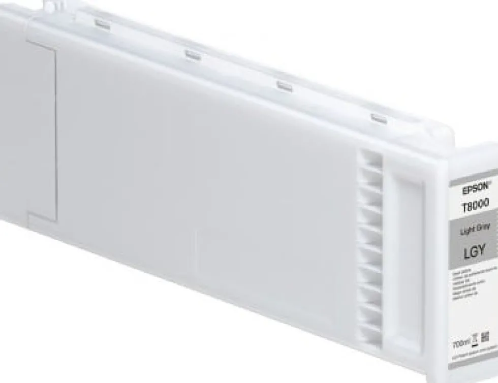 Bläckpatron EPSON C13T800900 Grå