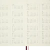 Classic Hard 12M Daily Large Alice in Wonderland 2027
