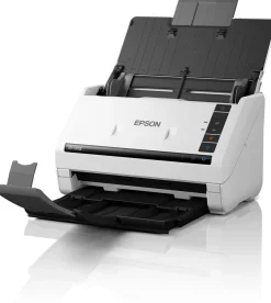 Epson WorkForce DS-530III