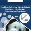 Fotohörn 250/fp