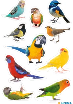 Herma stickers Decor birds (3)