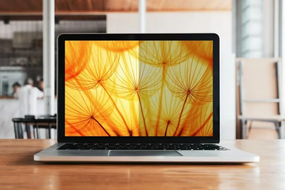 3M Bright Screen Privacy Filter 15'' Laptop (4:3)