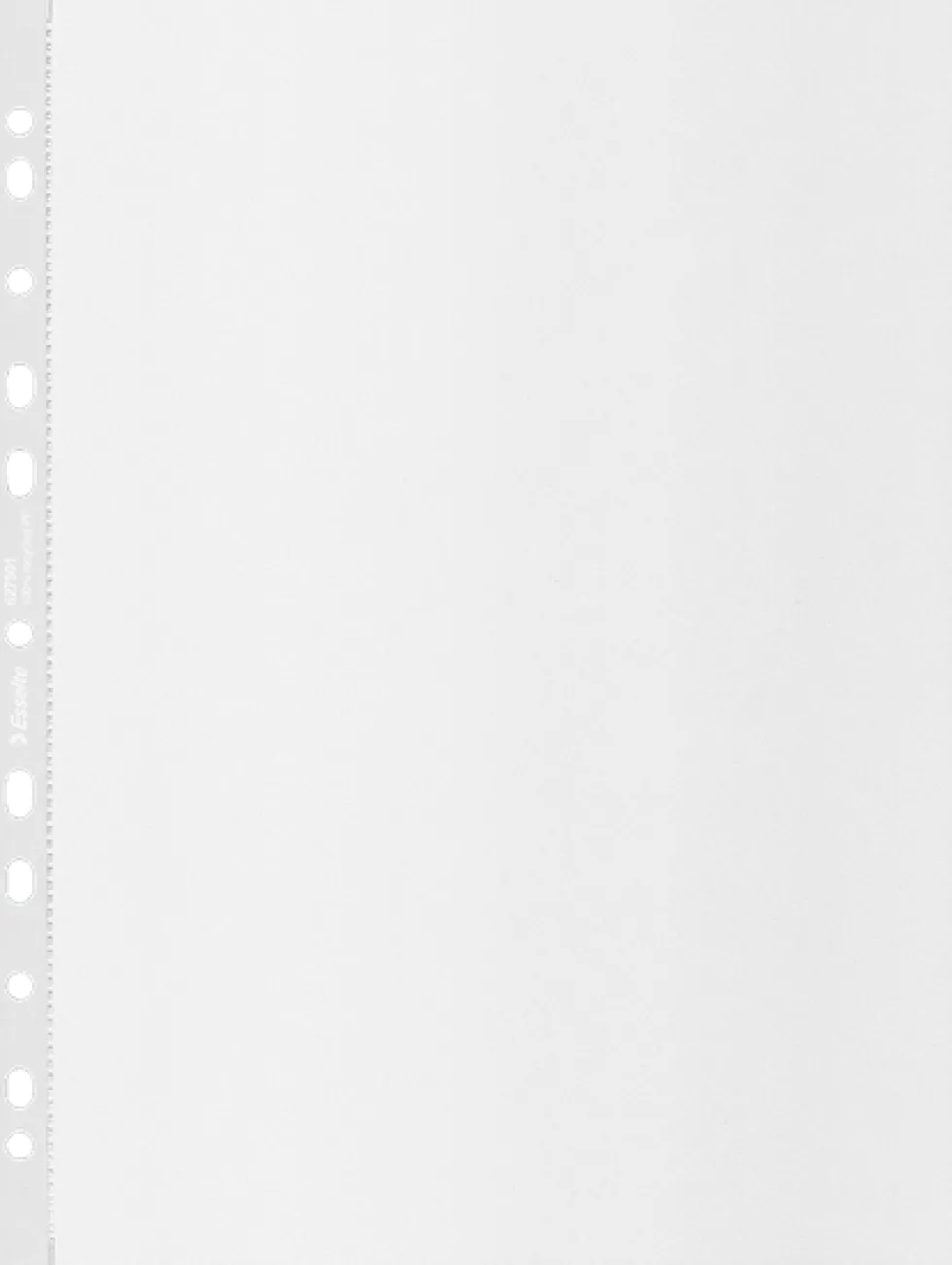 Plastficka ESSELTE rec A4 0,10 50/fp