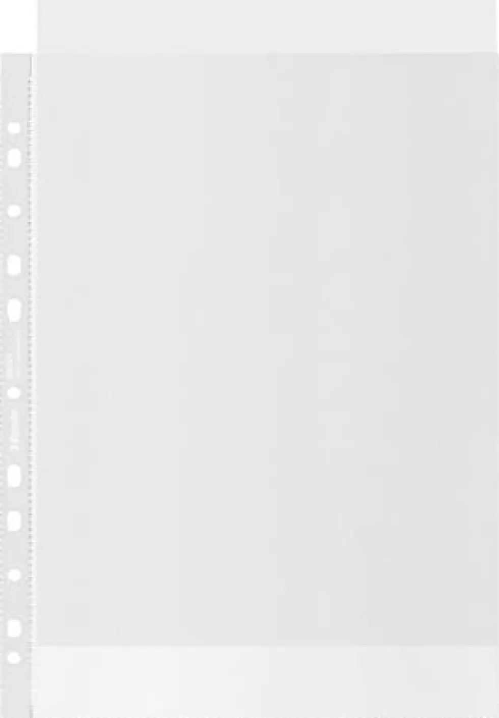 Plastficka ESSELTE rec A4 0,10 50/fp