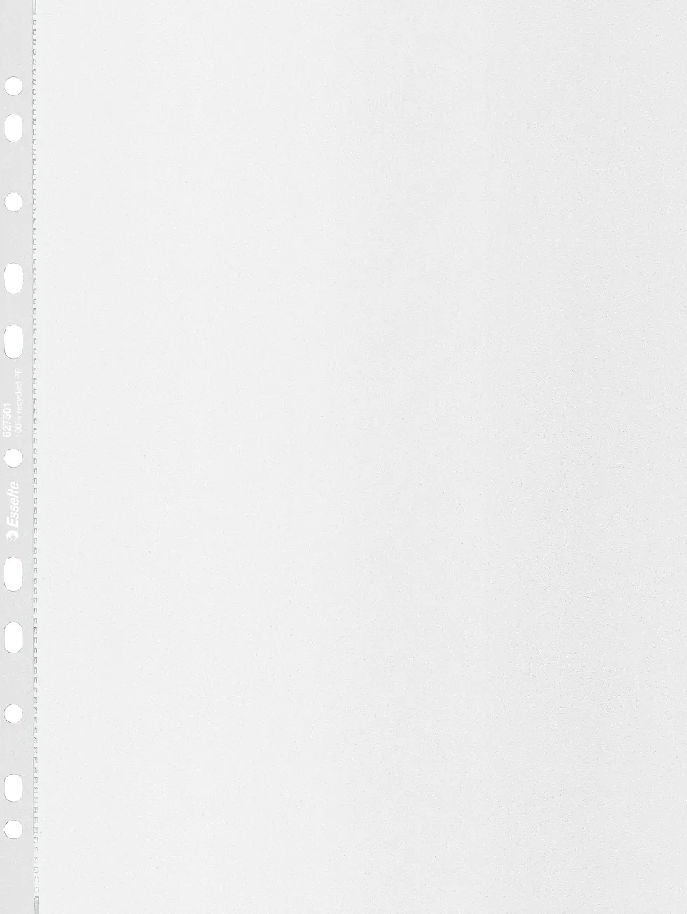 Plastficka ESSELTE rec A4 0,10 50/fp