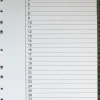 Register flikförstärkt A4 1-31