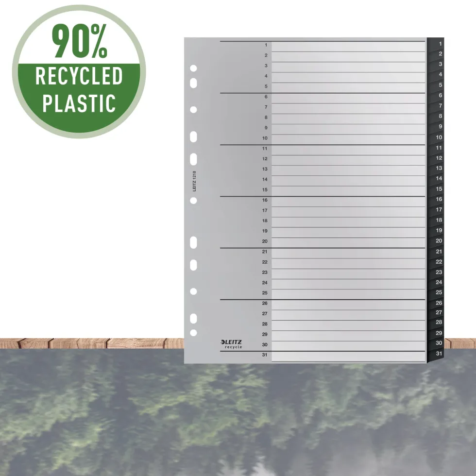 Register Leitz Recycle 1-31 A4 PP