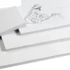 Ritpapper A4 170g 250/fp