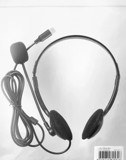Sandberg USB-C Headset Bulk