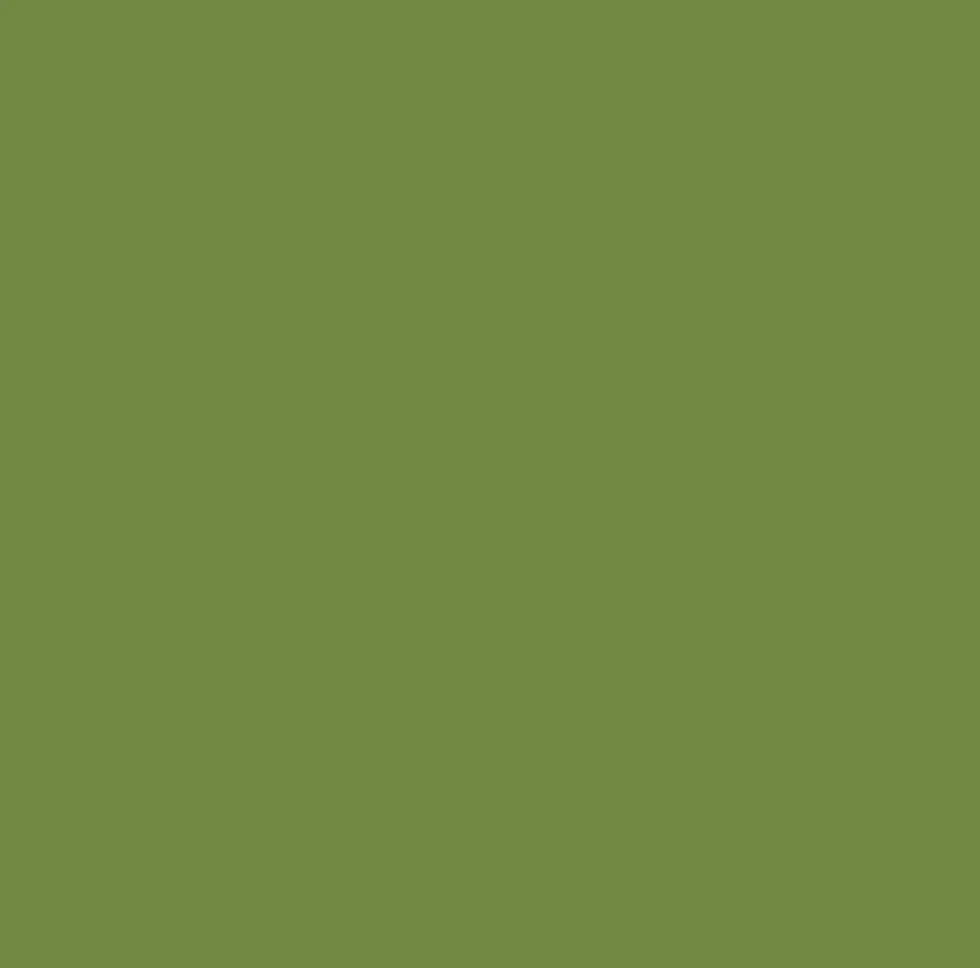 Servett 3-lags 33x33cm leaf green 125/fp