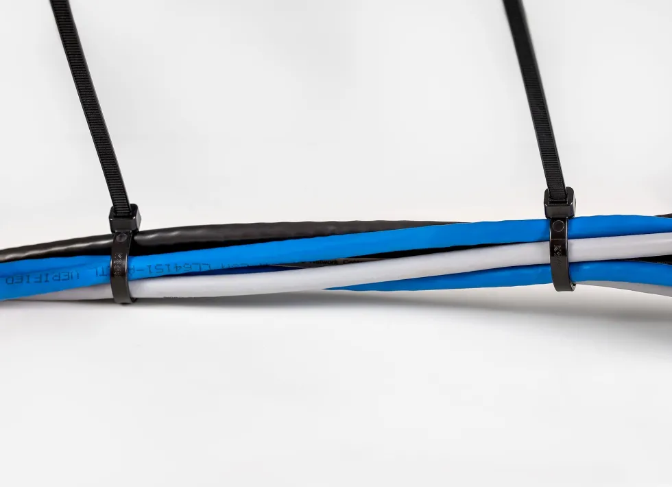StarTech.com 20cm(8") Cable Ties, 4mm(1/8") wide, 55mm(2-1/8")