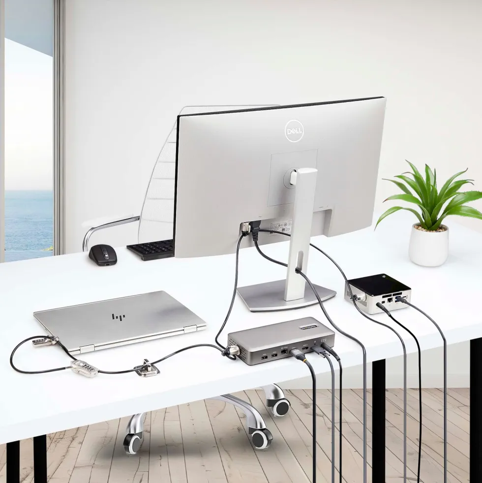 StarTech.com Laptop/Desktop & Peripheral Lock Kit, 9.8ft (3m)