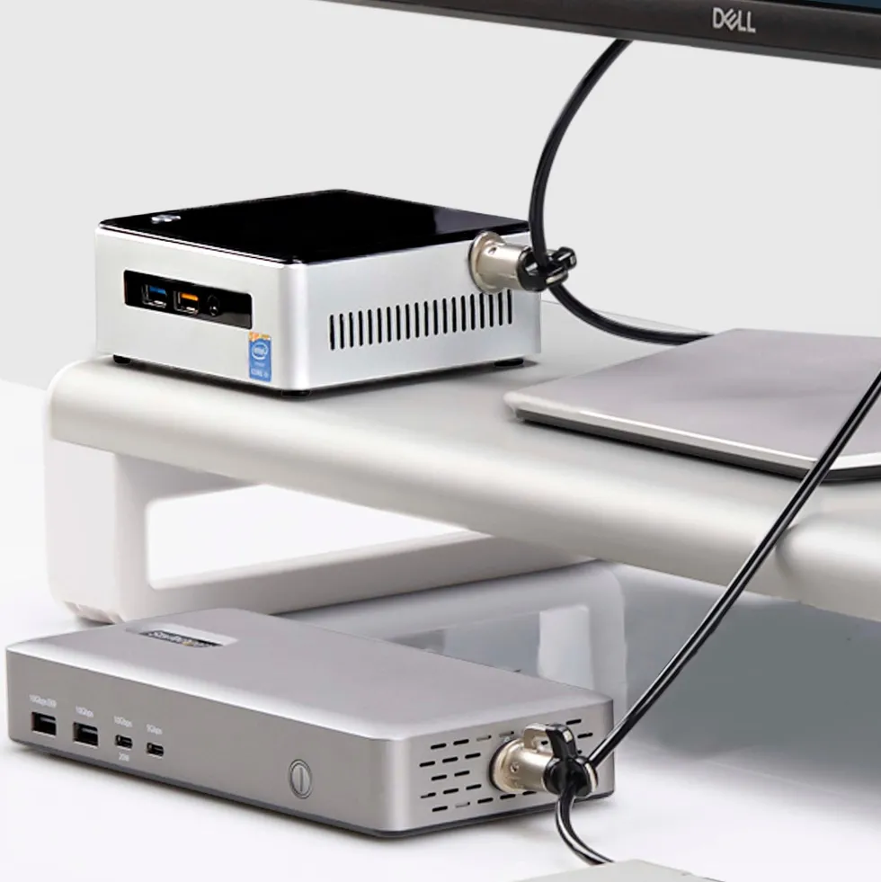 StarTech.com Laptop/Desktop & Peripheral Lock Kit, 9.8ft (3m)
