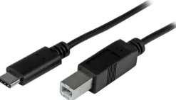 StarTech 2m 6ft USB C to USB B Cable - USB 2.0 - USB Type C