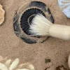 Undersök Fossilier av sten 8/fp