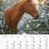 Väggkalender Stora Hästkalendern 2027