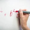 WB Marker Pica Visor red